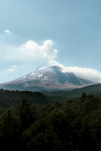 壮丽雪山与葱郁森林景观