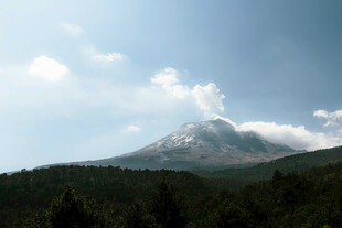 巍峨雪山下的葱郁山林
