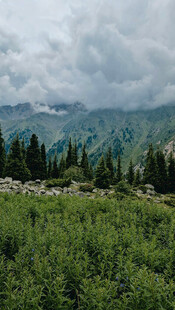 山间绿野