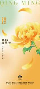 春日绽放的明艳黄牡丹