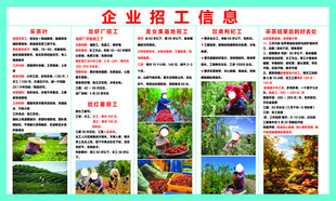 招工农活展示