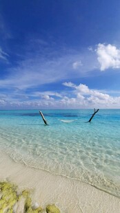 美丽海滨沙滩蔚蓝海景