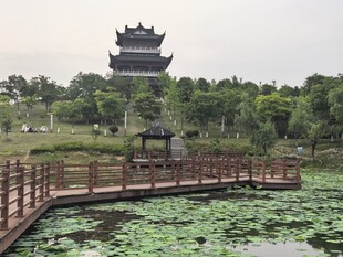 湖畔古亭