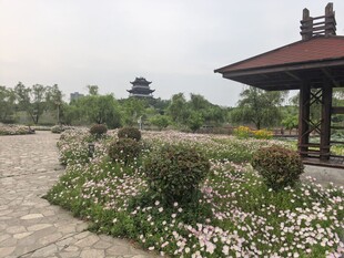 公园