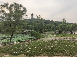 湖畔公园