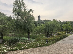 公园小路