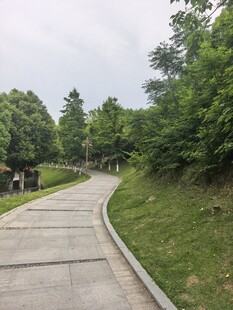 林间小径