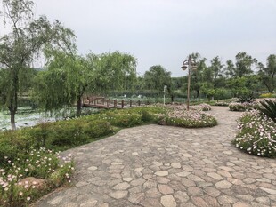 公园