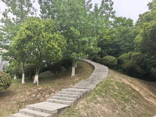 林间小路