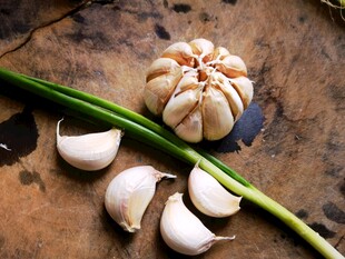 新鲜大蒜与蒜苔静物图