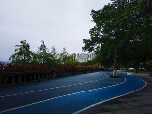 蓝色跑道旁绿树成荫