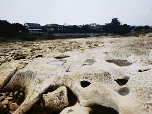海边奇形怪状的岩石景观