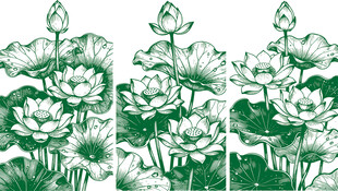 中式荷花植物线描图案