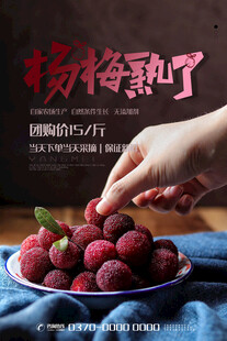 手摘新鲜杨梅