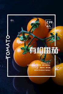 有机小番茄