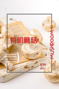 有机蘑菇新鲜展示