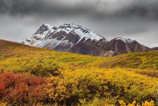 雪山 草地