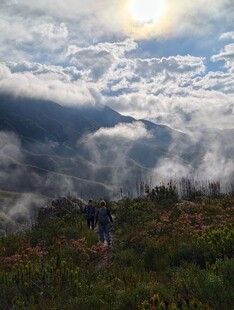 山顶云海