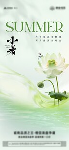 小暑节气海报设计