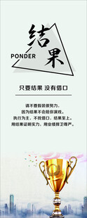 结果