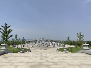 宽阔广场景观人群休闲