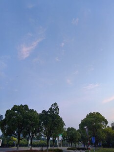 蓝天绿树间的清新景致