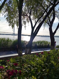 湖畔垂柳旁的美丽景致
