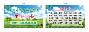 中药材种植农场工时卡