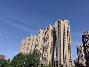 城市高楼景观