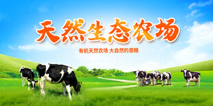 牧场草原奶牛
