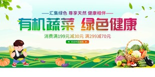 有机蔬菜 畅享绿色健康生活