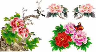 牡丹花