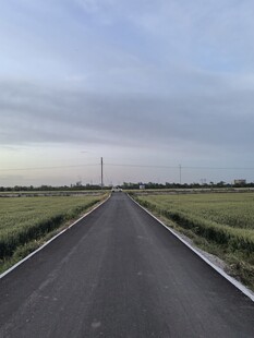 乡间公路延伸向远方