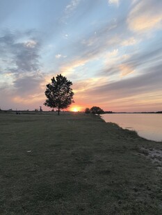 湖畔日落孤树美景
