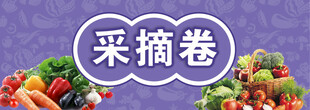 蔬菜采摘卷美食展示