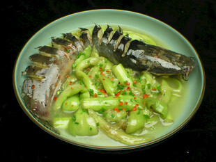 鲶鱼炖茄子