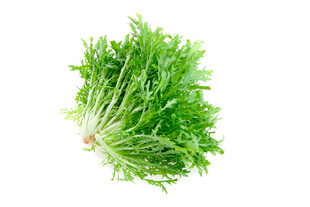 新鲜茼蒿菜