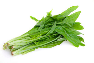 新鲜嫩绿菠菜一束