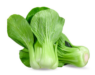 新鲜青菜