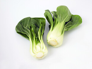 两颗鲜嫩小白菜
