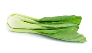 新鲜小白菜