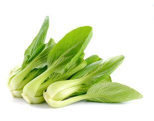 新鲜小白菜