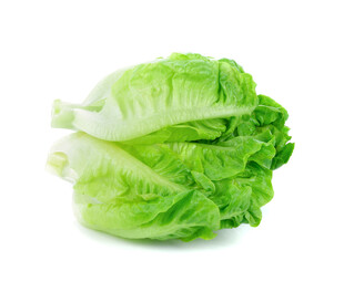 新鲜生菜