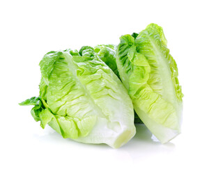 两颗鲜嫩小白菜