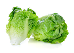 新鲜生菜
