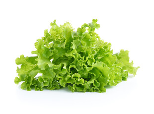 新鲜生菜