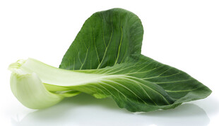 新鲜小白菜