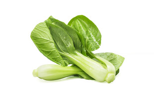 新鲜小白菜