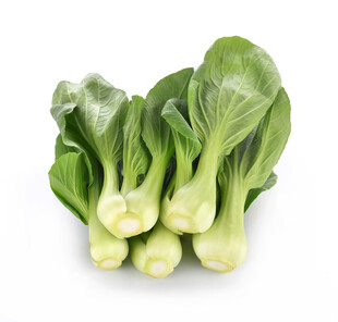 新鲜小白菜