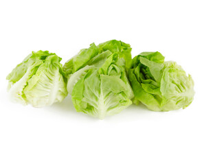 新鲜生菜
